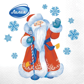 Салф. 20л 33*33см 2сл НГ Морозко